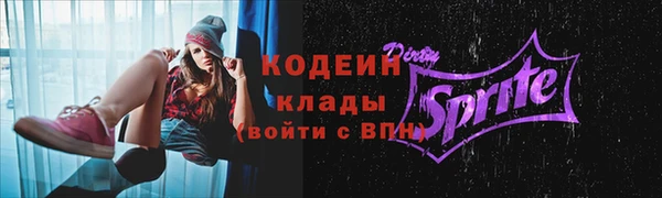 мдпв Няндома