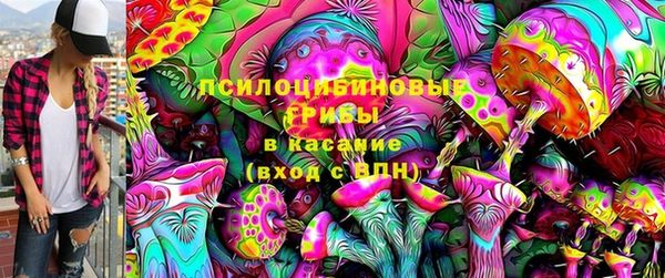 мдпв Няндома