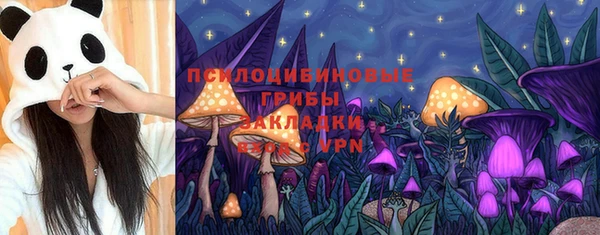 мескалин Нягань