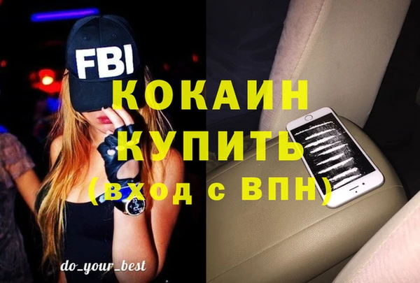 мдпв Няндома