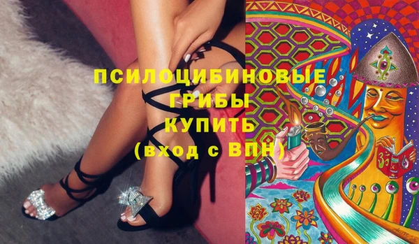 мдпв Няндома
