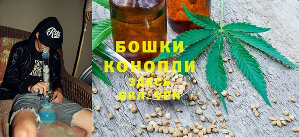мдпв Няндома