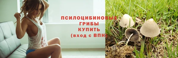 ALPHA PVP Крымск