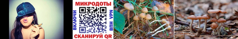 Псилоцибиновые грибы MAGIC MUSHROOMS  Снежногорск 